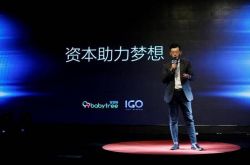 2分钟教程!德宏傣族景颇族自治州政府网_哔哩哔哩-3